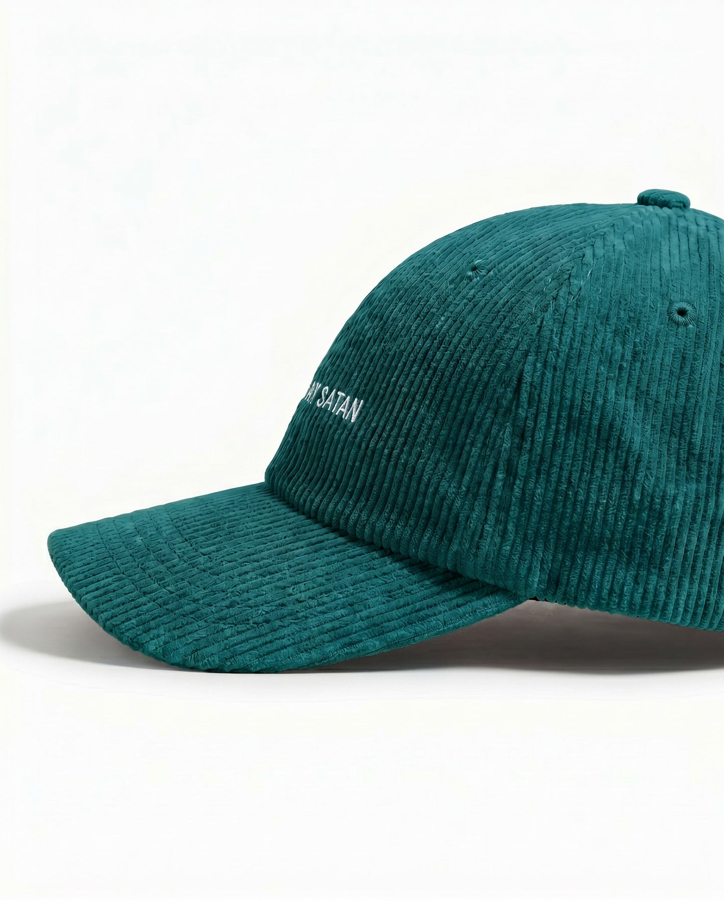Embroidered Hat  |  Not Today